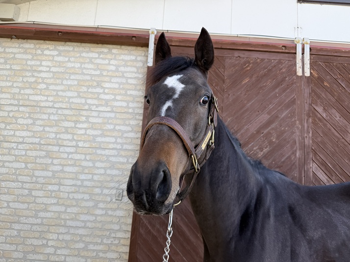 ロックエンジェル