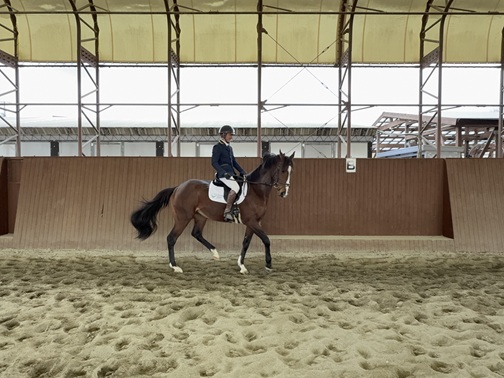 スペシャルドラマ