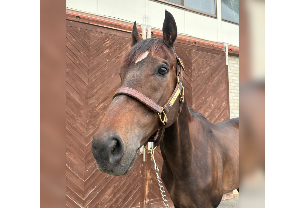 ★グランプリワン