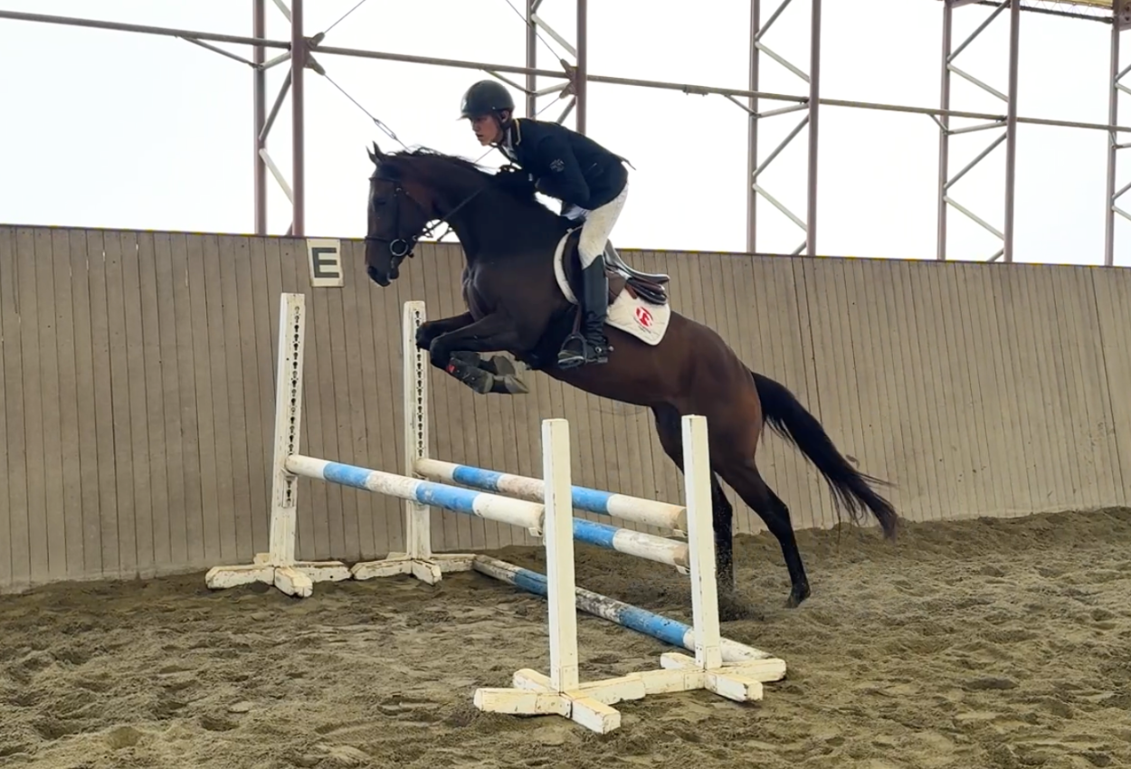 ★ヨッシーレイ