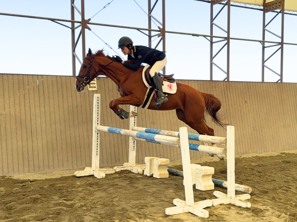 ★エンゲツトウ